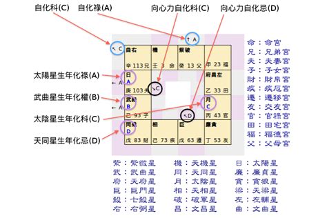 星橋紫微斗數|紫微斗數